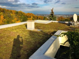 Zelená strecha Bratislava – Koliba