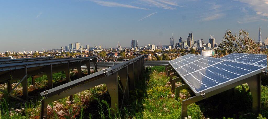 Zelené strechy zefektívňujú produkciu solárnych panelov | zelena-strecha.sk
