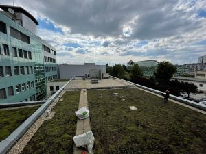 Rekonštrukcia zelenej strechy - Bratislava