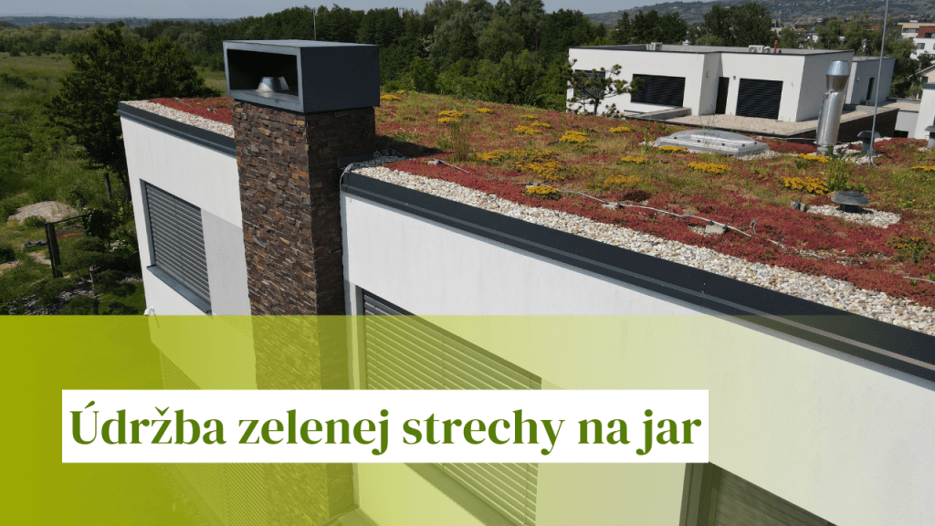 Údržba zelenej strechy na jar